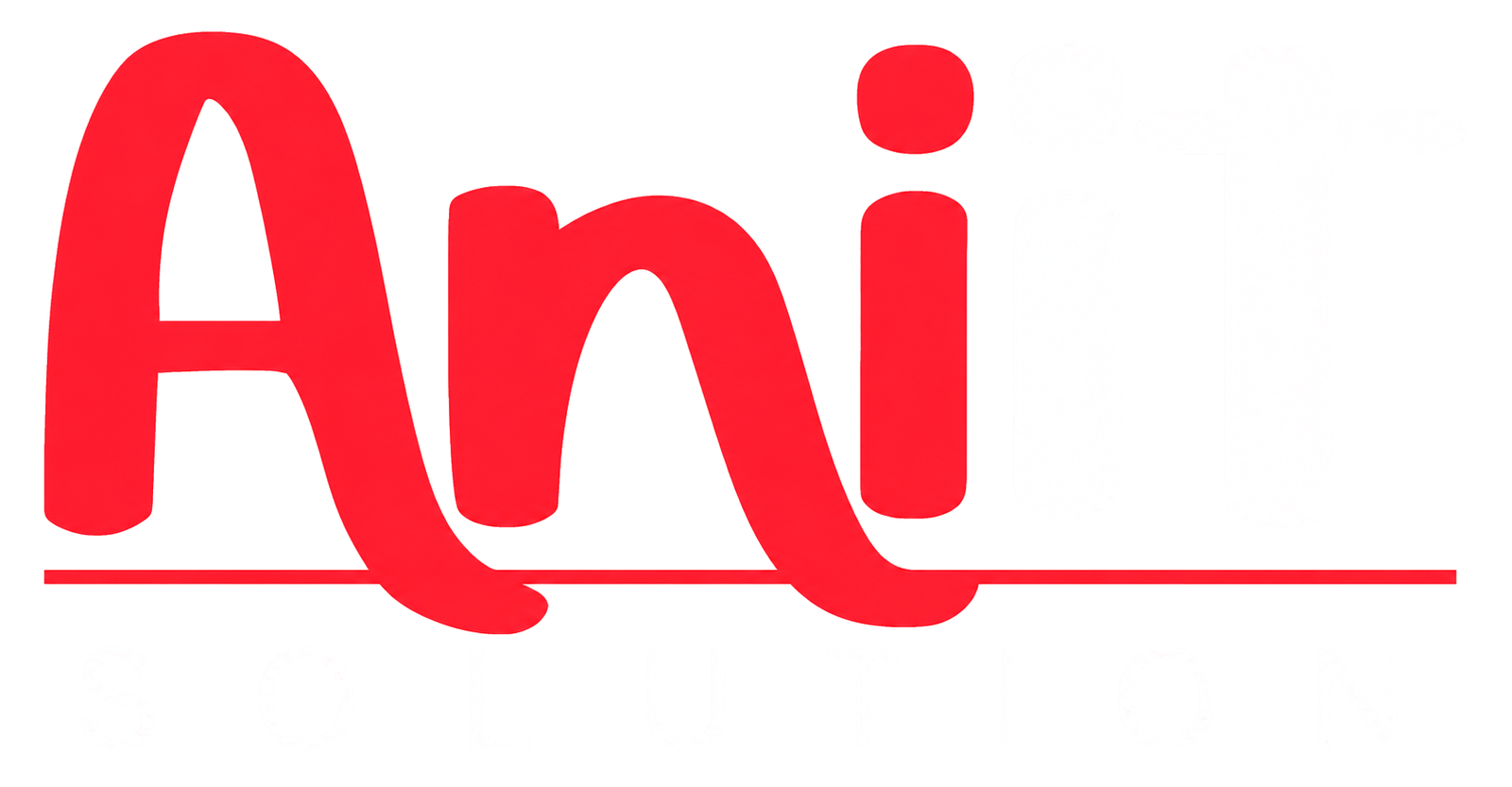 ANI IT Solutions